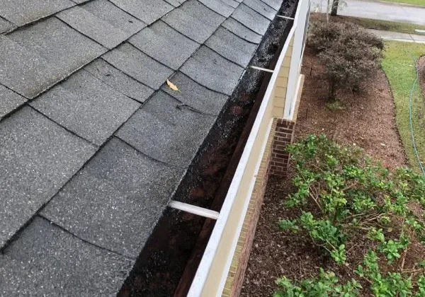 8FSdIzzS4fT